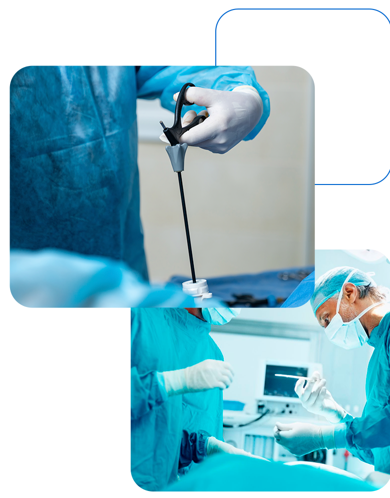 topoEspecialidades_22